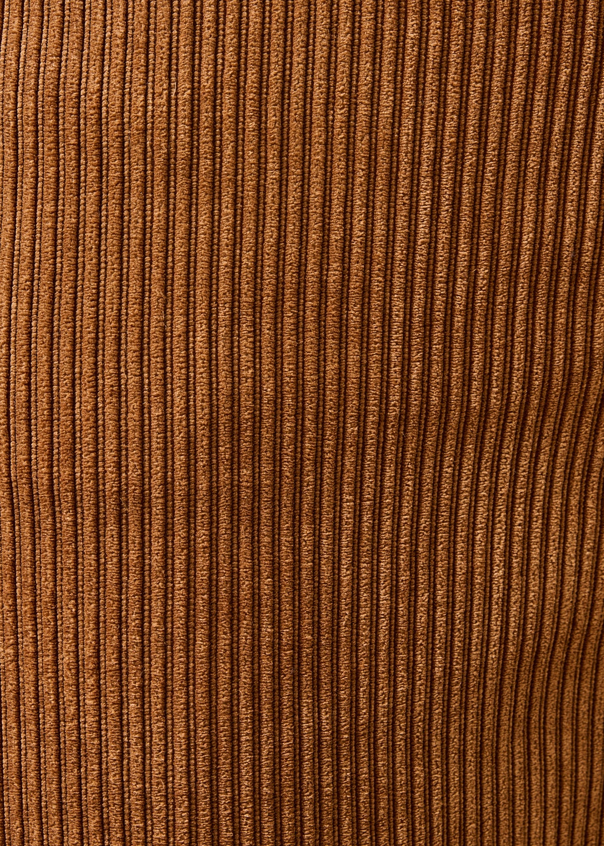 Pantaloni cammello - Zander