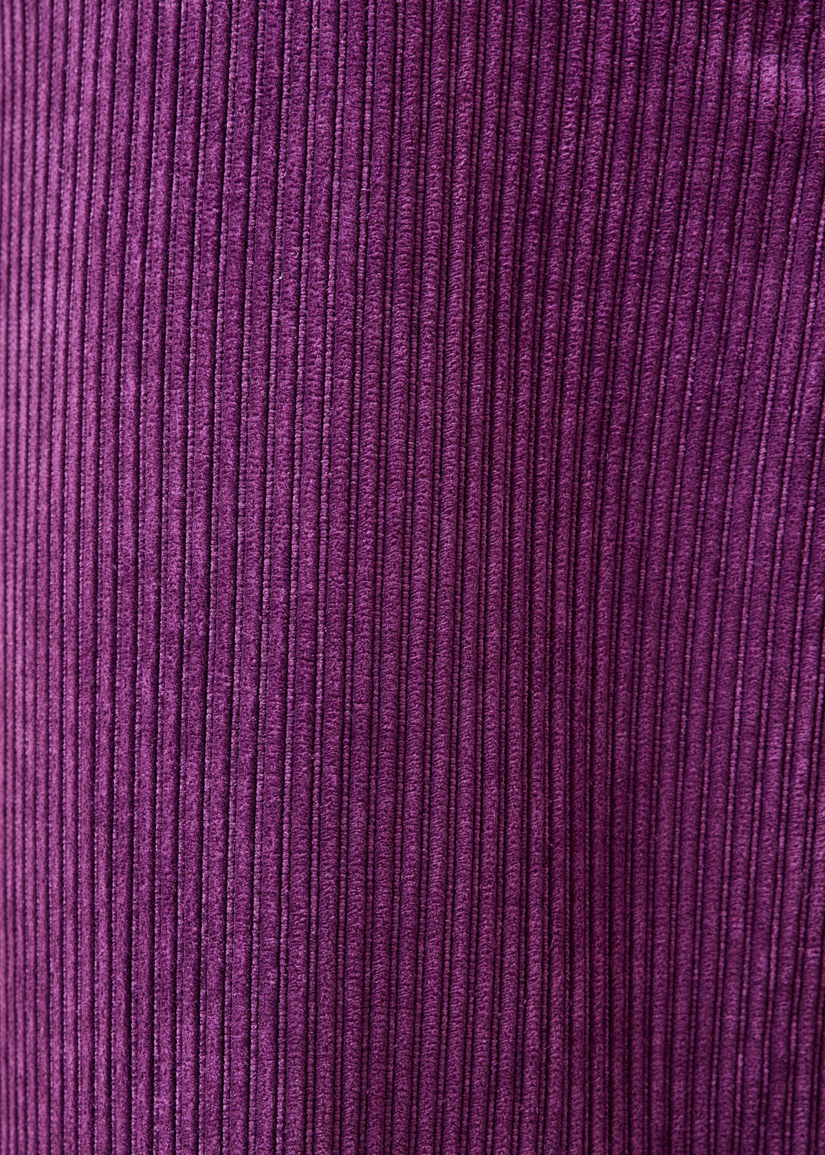 Pantalon violet - Zander