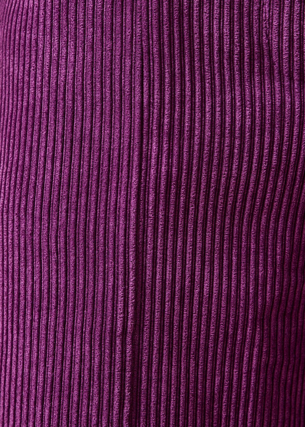 Bermuda prune - Galiope