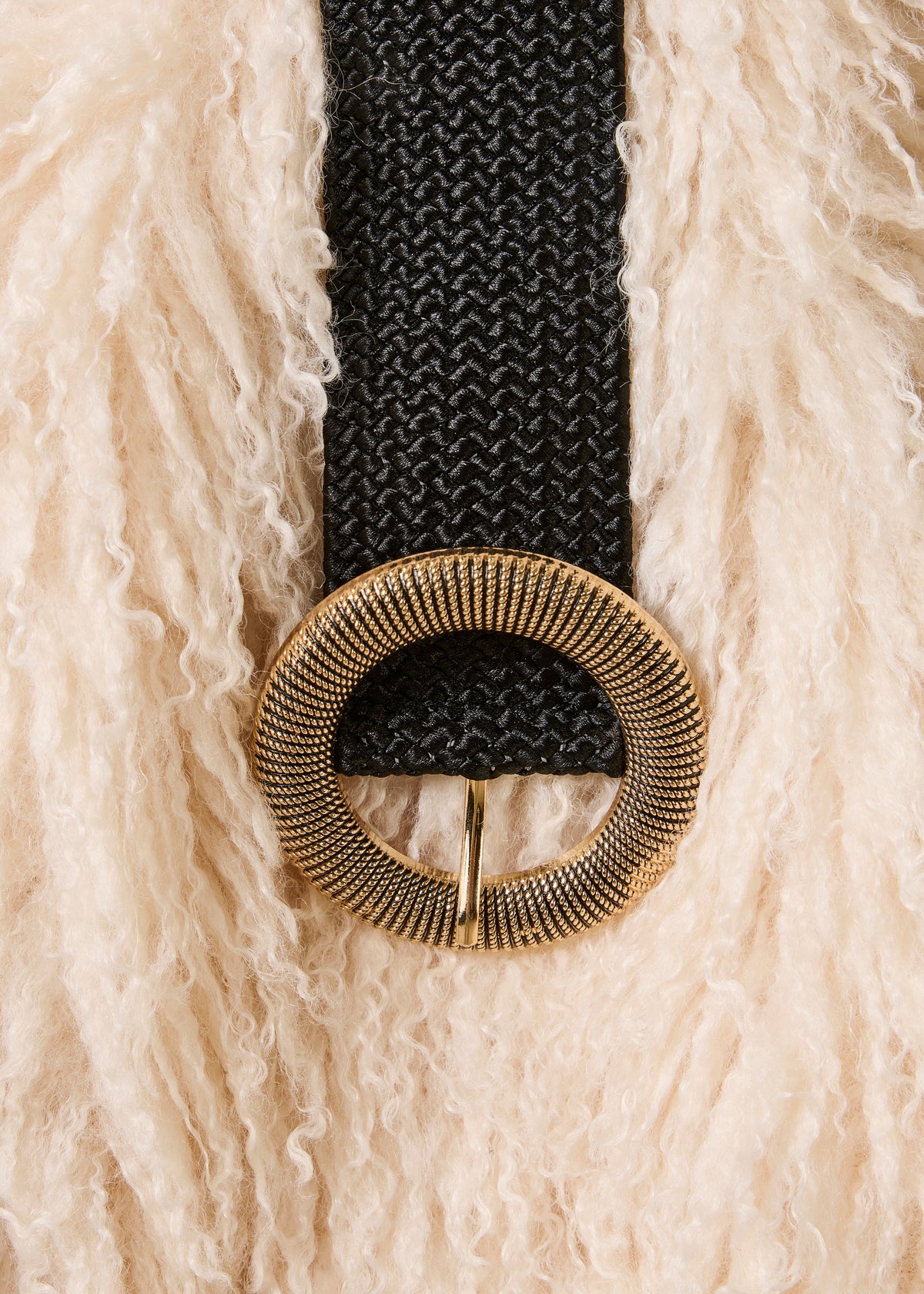 Zwarte riem - Figuier