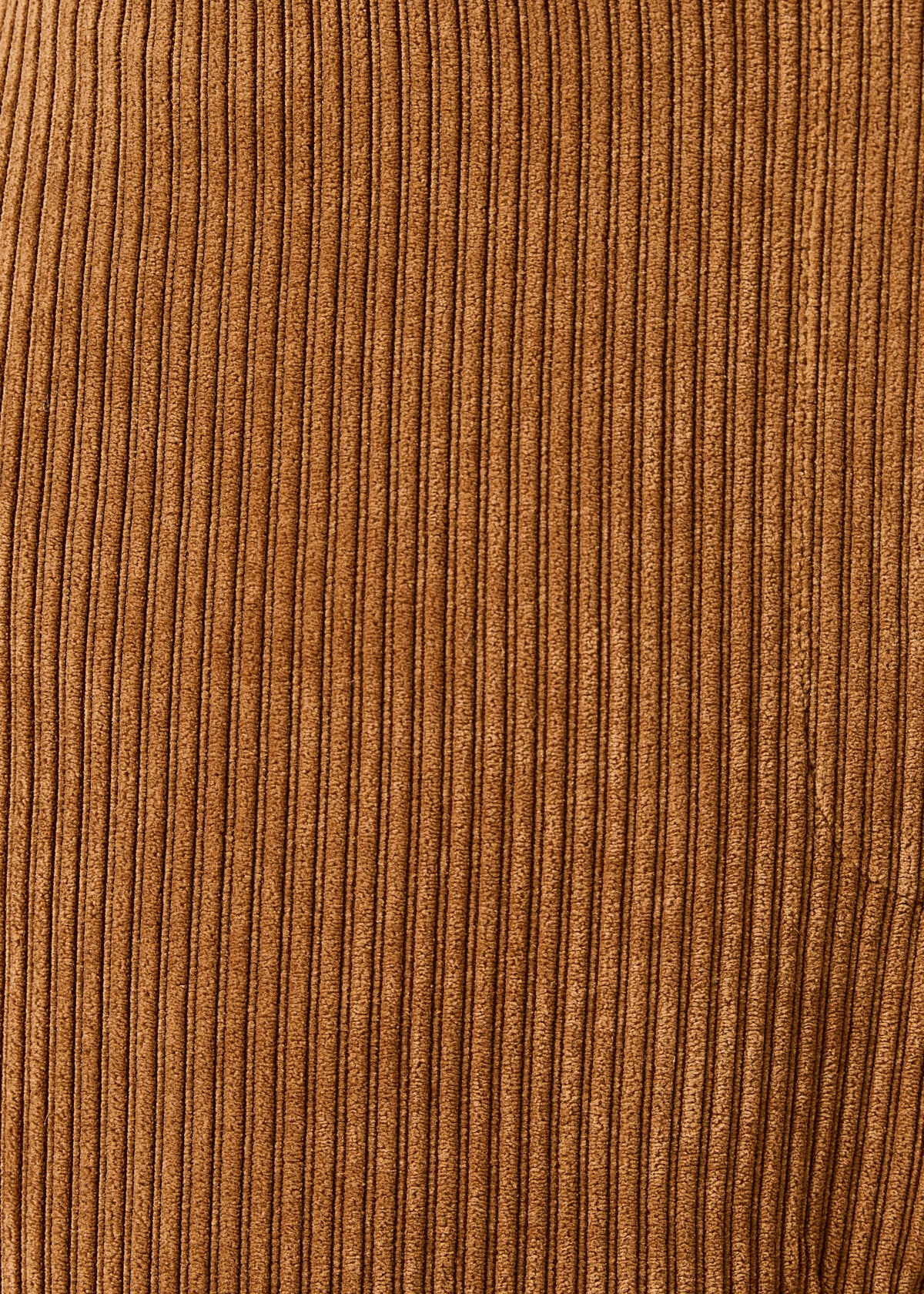 Pantalon camel - Gatine