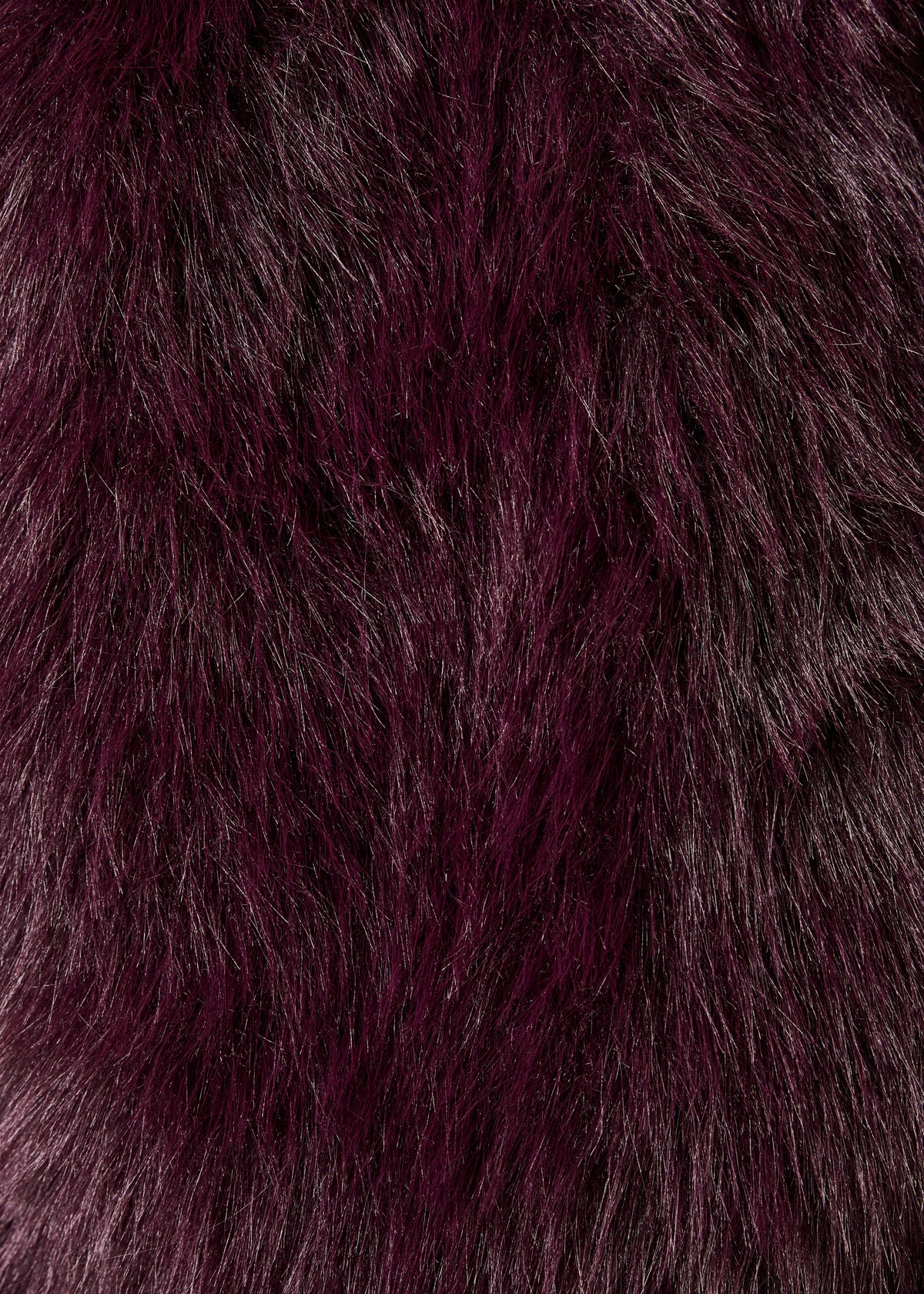 Eggplant jacket - Zoani
